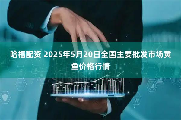 哈福配资 2025年5月20日全国主要批发市场黄鱼价格行情
