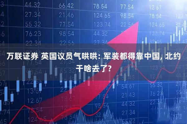 万联证券 英国议员气哄哄: 军装都得靠中国, 北约干啥去了?